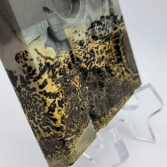 Polished Carved Picture Jasper Creeping Death Skull Natural Gemstone NWOT - Picture 6 of 10